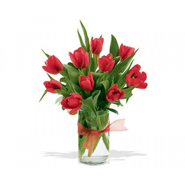 Bukiet 10 tulipanów czerwonych
