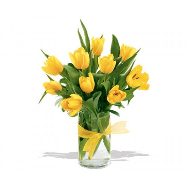 Bukiet 10 tulipanów żółtych