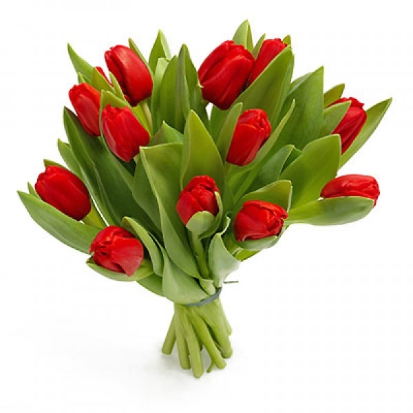 Bukiet 12 tulipanów czerwonych