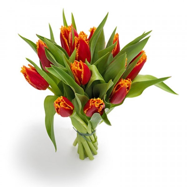 Bukiet 12 tulipanów czerwono żółtych