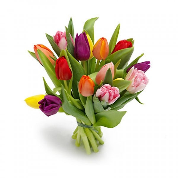 Bukiet 15 tulipanów kolorowych