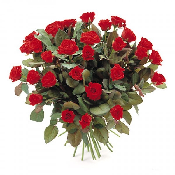 Bukiet 35 róż czerwonych